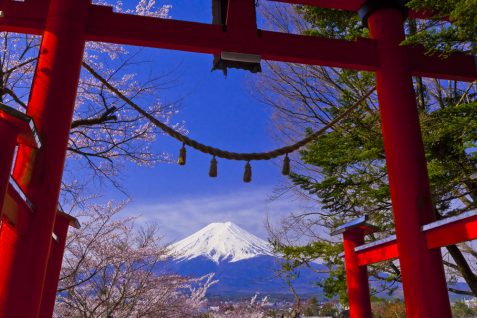 国内のAI研究にみる、欧米にリードできる“日本の宗教観とその意義”