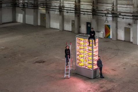 IoTと垂直農法でポップアップ農場を実現する、ベルリン発のミニ畑スタートアップ