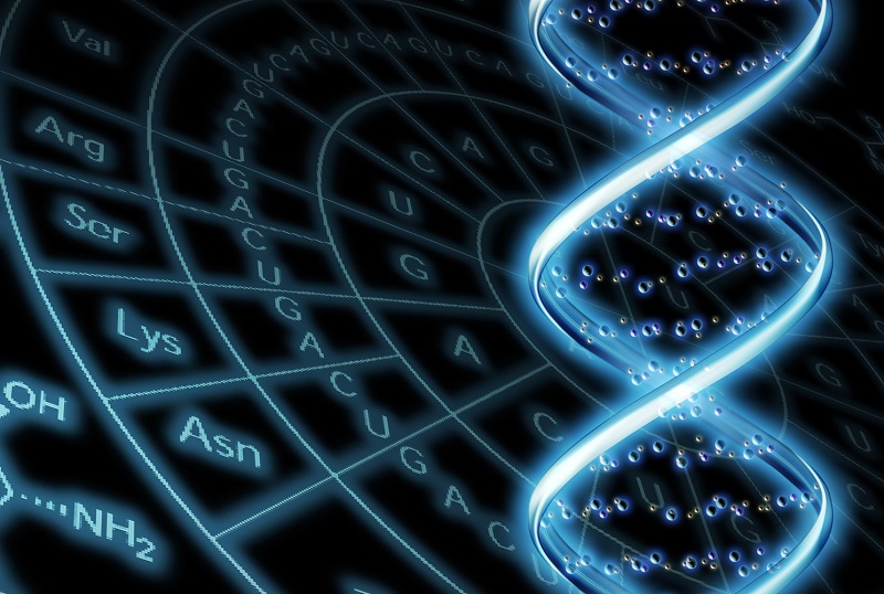 DNA版App Store「Helix」で利用できるDNAレベルのパーソナライズサービス10選 AMP[アンプ] ビジネス