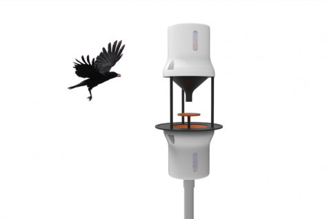 オランダでは“カラス”が「タバコの吸い殻」を掃除する？動物と人が都市で共存するために欠かせない視点とは