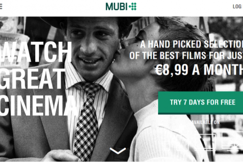 Netflixの牙城を崩せーー動画配信サービスの競争を激化させる「ニッチジャンル化」の新潮流