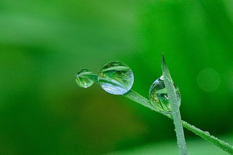 “稼ぐ”への本気度が社会を継続的に支援できるかを左右する——社会起業家の現在地