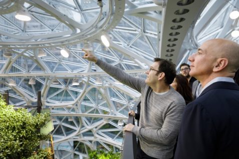 Amazon流、働き方改革「バイオフィリア」という新しい取り組み〜オフィスの緑化と生産性の関係