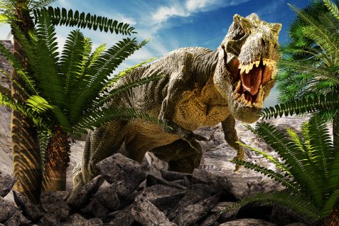 『ジュラシック・パーク』が現実になる？ドローン活用で加速する恐竜発掘