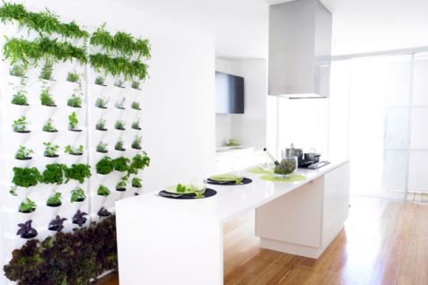 世界でムーブメント化へと向かう「インドア菜園」〜人気の立役者はミレニアル世代