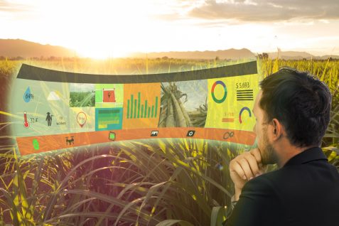 アリババの「未来農場」プロジェクトがスタート〜先端種子やドローンも