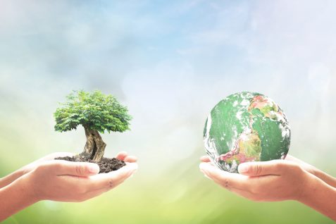 SDGsモデル企業、ダノンに学ぶ。持続可能な目標・KPIを立て、PDCAをまわす組織づくりのヒント