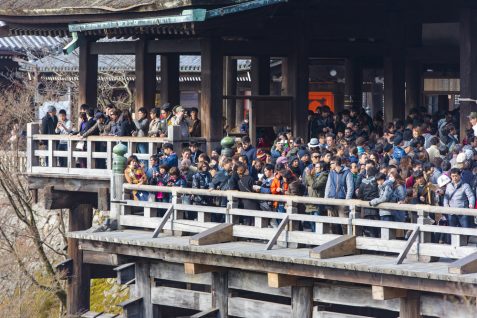 「最悪（Worst）ツアー」に「醜い（Ugly）ツアー」、観光公害問題やニーズの変化に応える新たな取り組み