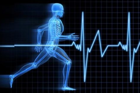 スポーツ科学人材の需要が高まる「意外な背景」〜求められるスキル、世界大学ランキングの結果は？