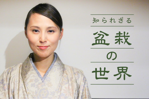 女性盆栽家が語る、知られざる盆栽の世界