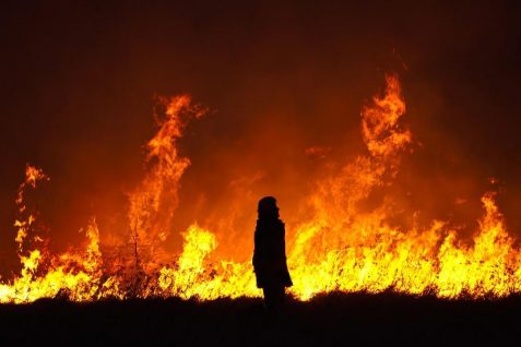 気候変動の影響は、私たちのメンタル面にも――人々をむしばむ「エコ不安症」とは？