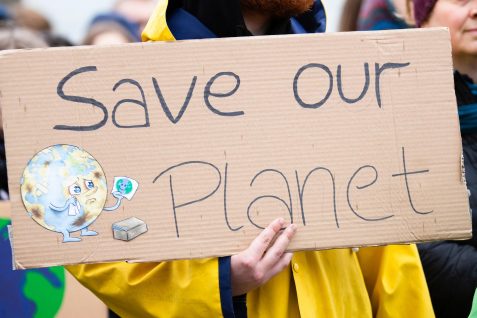 Food4.0時代の救世主？ NASA生まれ、いかなる環境でも製造可能な食料「Solein」