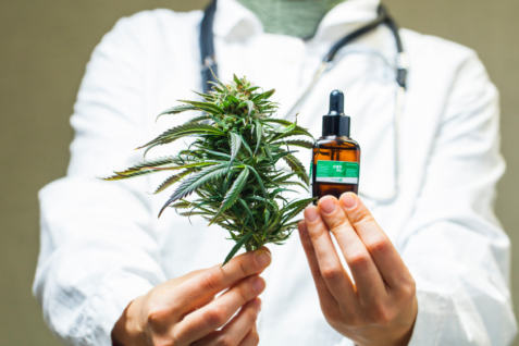 日本で「医療用大麻」が合法化される日は来るのか