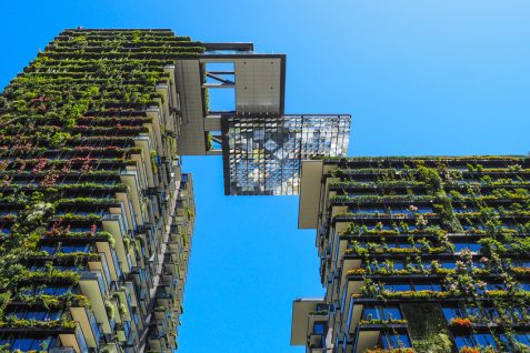 高まる都市の自然災害リスク、ハーバード大・都市デザイン講師が説く「ローテク」な先端未来都市を目指す重要性