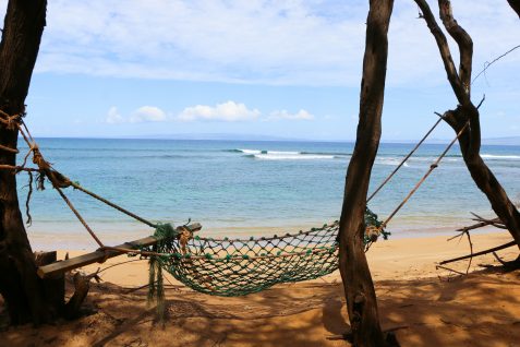 オラクル創業者が取り組む、島まるごとサスティナブルリゾート計画