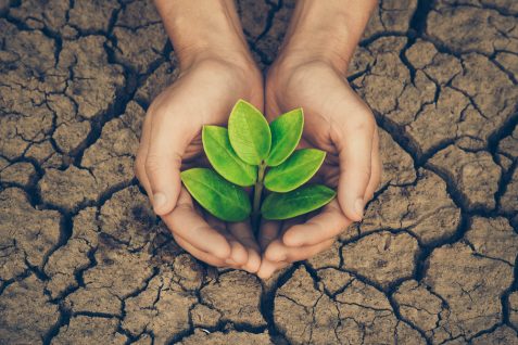 これからの変革者は政治家ではなく起業家。テクノロジーで社会課題に挑む、欧州発「パーパス・ドリブン・スタートアップ」たち