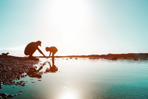 ヨーロッパの育児は「脱ゆとり」へ？ 米国の過保護＝ヘリコプター型にシフトする育児スタイル