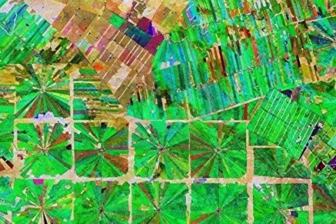 自業自得なのか？ 実は私たち人間のせいで新型コロナウイルスの感染は拡大した？