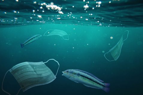 新型コロナの次に起こる「コロナごみ」のパンデミック、使い捨てマスクが海に大量流出する懸念増大