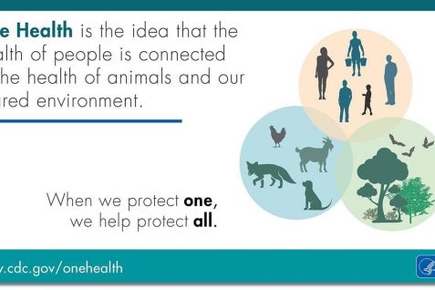 「次なるコロナ」を未然に防ぐためのコンセプト『ワンヘルス』 個人・企業・教育機関の実践法とは？
