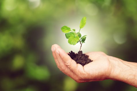 新型コロナでESG投資と企業の持続可能性が加速？ パンデミックのポジティブな側面