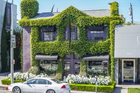 ステラ・マッカートニーはファッション業界を大きく変えたーー世界的ブランドの進化するサスティナブルな取り組み