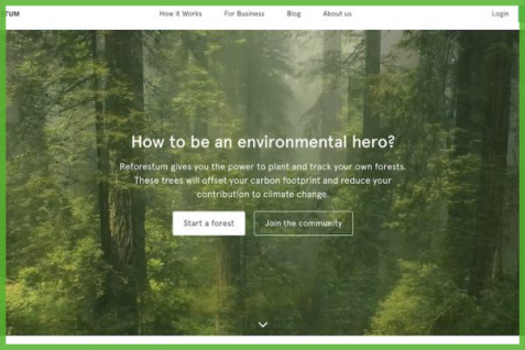 リモート植林で個人のCO2排出量を相殺。環境保護デジタルプラットフォーム「Reforestum」が生むインパクト
