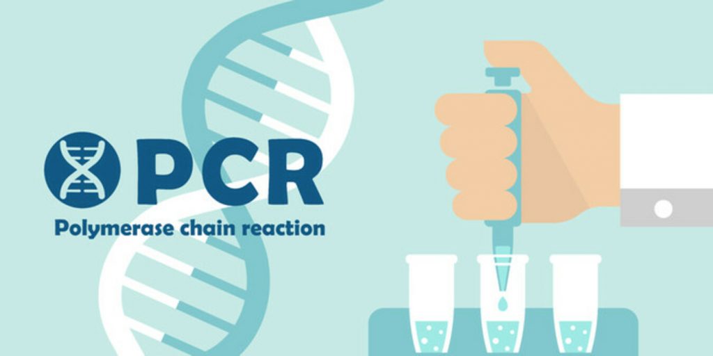 pcr