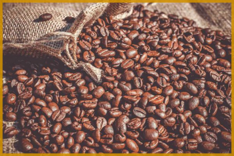 コーヒーがマスクや燃料に？大量に捨てられる「コーヒーかす」問題を解決する、世界のテックスタートアップ