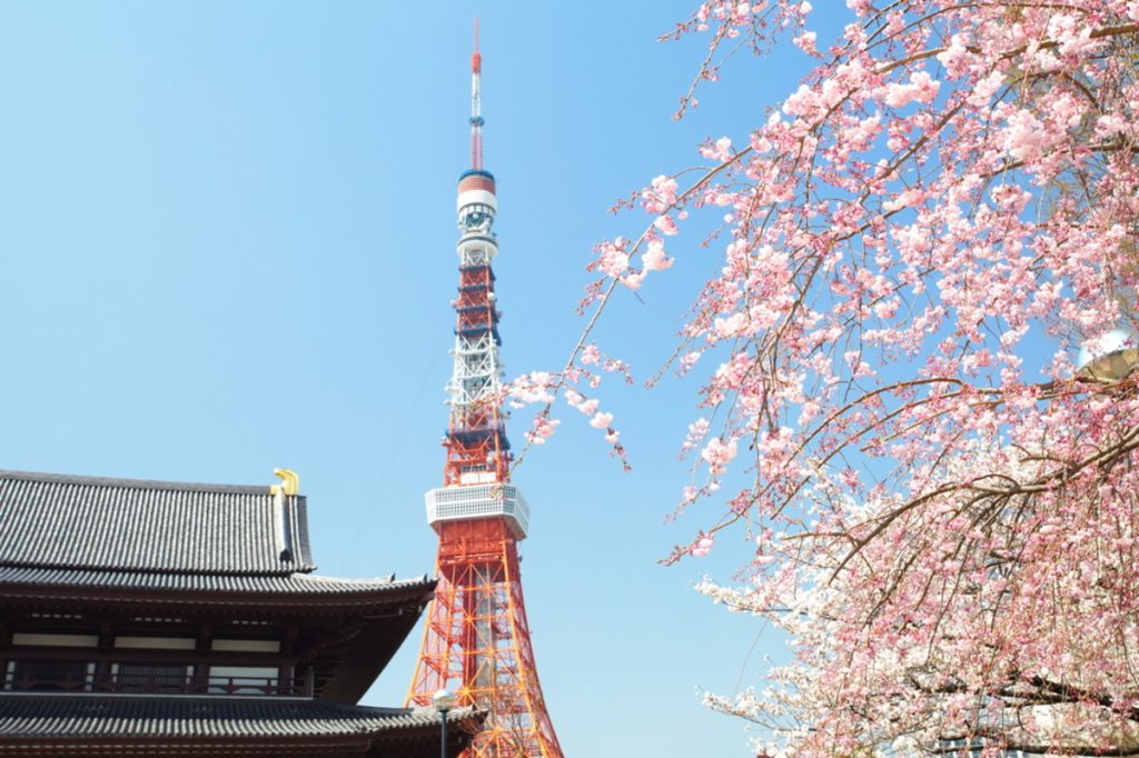 tokyo-sakura