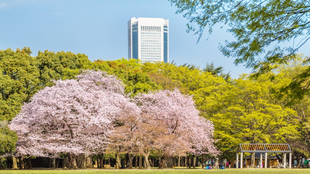 東京都、花見シーズンは都立公園での飲食禁止　上野・井の頭・代々木公園は立入制限の可能性も