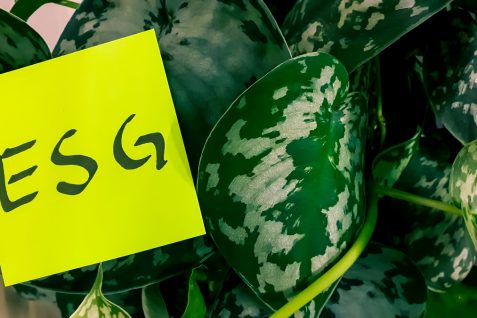2025年5000兆円以上のESG投資、VCのスタートアップ投資も環境インパクト重視へ