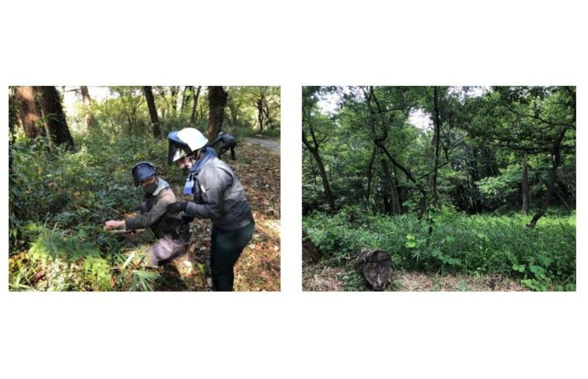 オープンハウス、サステナブルな森創りに向け5者協定締結 森林保全活動「オープンハウスの森」始動 AMP[アンプ] ビジネス