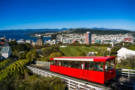 感染ゼロ目標を掲げるニュージーランドの観光解禁ロードマップ、シンガポールはエンデミックとして捉えるアプローチ