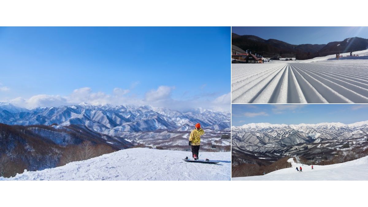 オープンハウス、「スキー場運営」に新規参入 「群馬みなかみほうだいぎスキー場」オープン AMP[アンプ] ビジネスインスピレーションメディア
