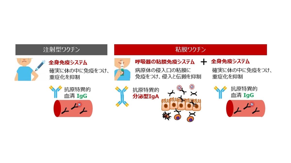 臨床粘膜免疫学 臨床粘膜免疫学 臨床粘膜免疫学 | 清野 宏 |