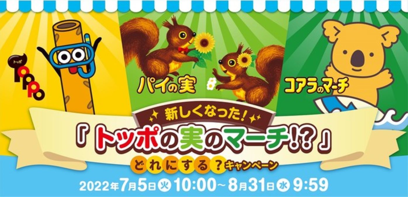 お菓子　まとめ売り　パックンチョ　コアラのマーチ　トッポ　パイの実　堂島タルト 1-93.jpeg
