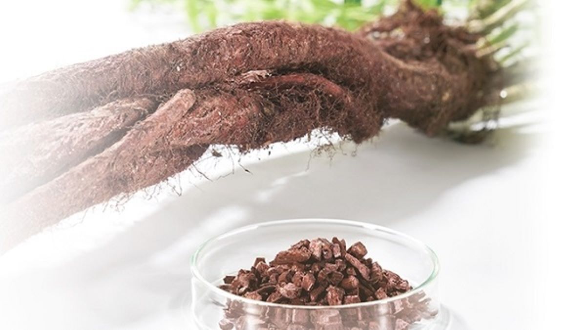 絶滅危惧の薬用植物ムラサキの紫根から抽出した「紫根エキス」に育毛