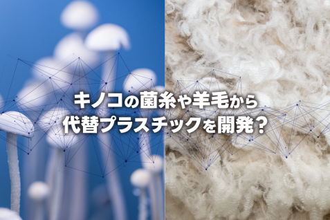 使い捨てカップも禁止に？厳格化する欧州のプラスチック規制と注目の代替プラスチック事業