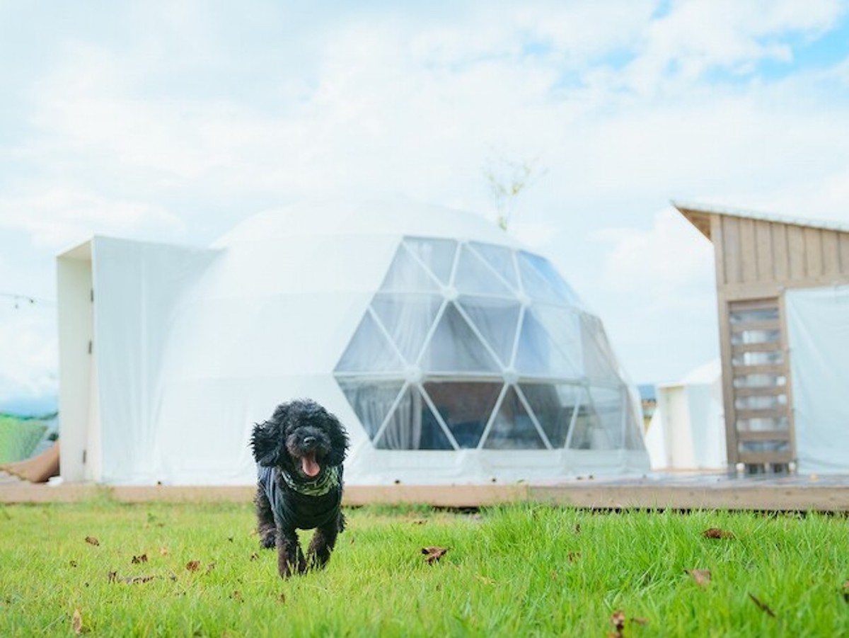 山形県村山市の体験型グランピング施設「yamagata glam」、愛犬と一緒