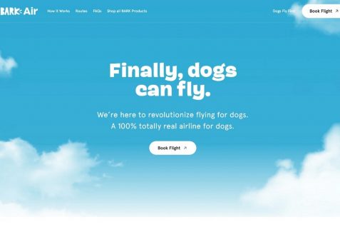 空飛ぶわんこから見る、犬とのつきあい方最前線