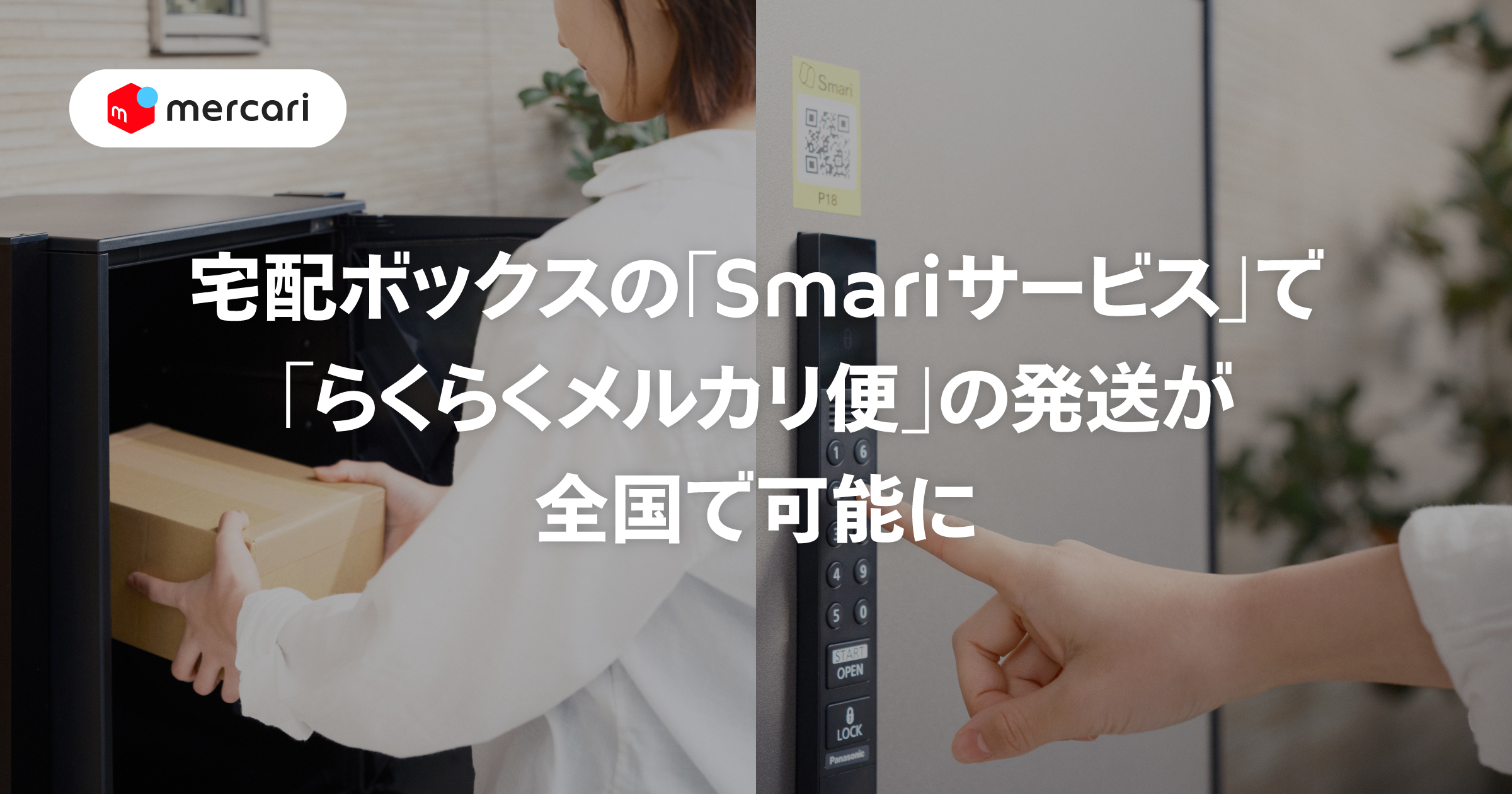 ブーゲンビリア　No802　大株 らくらくメルカリ便発送‼️ ブーゲンビリアNo802大株 らくらくメルカリ便発送‼️