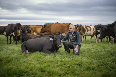 コンラッド東京も高く評価、ニュージーランド流「持続可能な放牧酪農」を展開する「フォンテラ」の強み