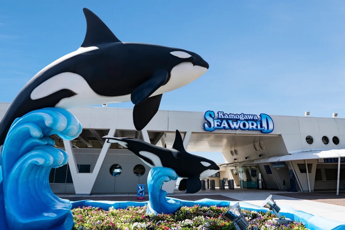 鴨川シーワールド、敬老の日特別優待を実施 千葉県在住の60歳以上は