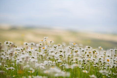 「私たち付き合ってる？」を急がないZ世代　新恋愛トレンド「Wildflowering」が映す価値観の変化